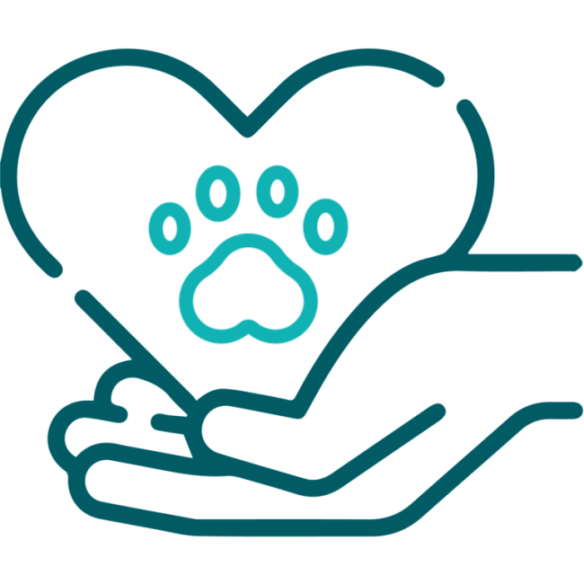 Wellness Care