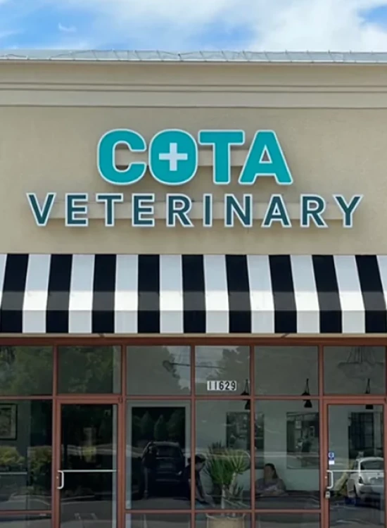 About The Practice - What Sets COTA Veterinary Apart?